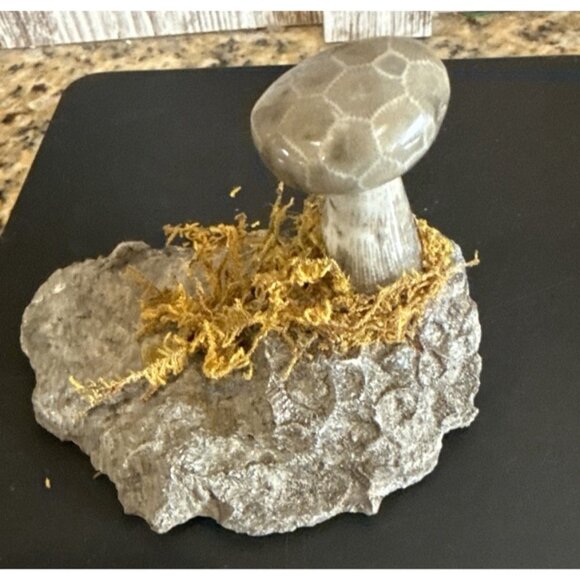 Petoskey Stone Polished Mushroom On A Base Handmade - Picture 7 of 7